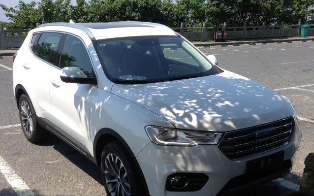 放弃长城魏, 浙江车友提哈弗H6蓝标, 山上的许愿树亮了