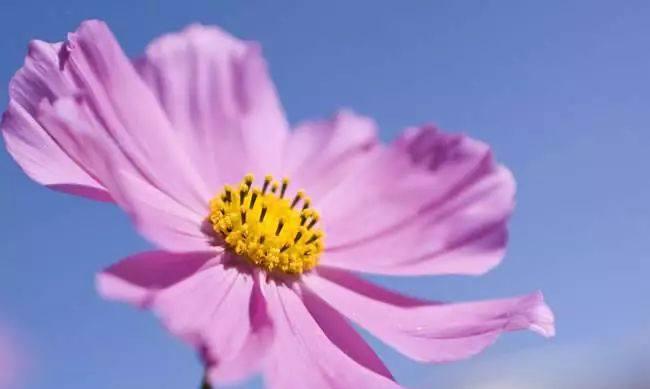 早安心语唯美语录句子 早安励志短句