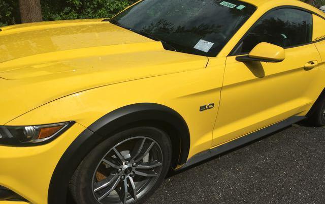 福特野马 5.0GT才是真正的野马, 看谁再敢叫野驴