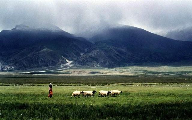 这几位公主名字很好听, 被可汗一个个继娶, 却没
