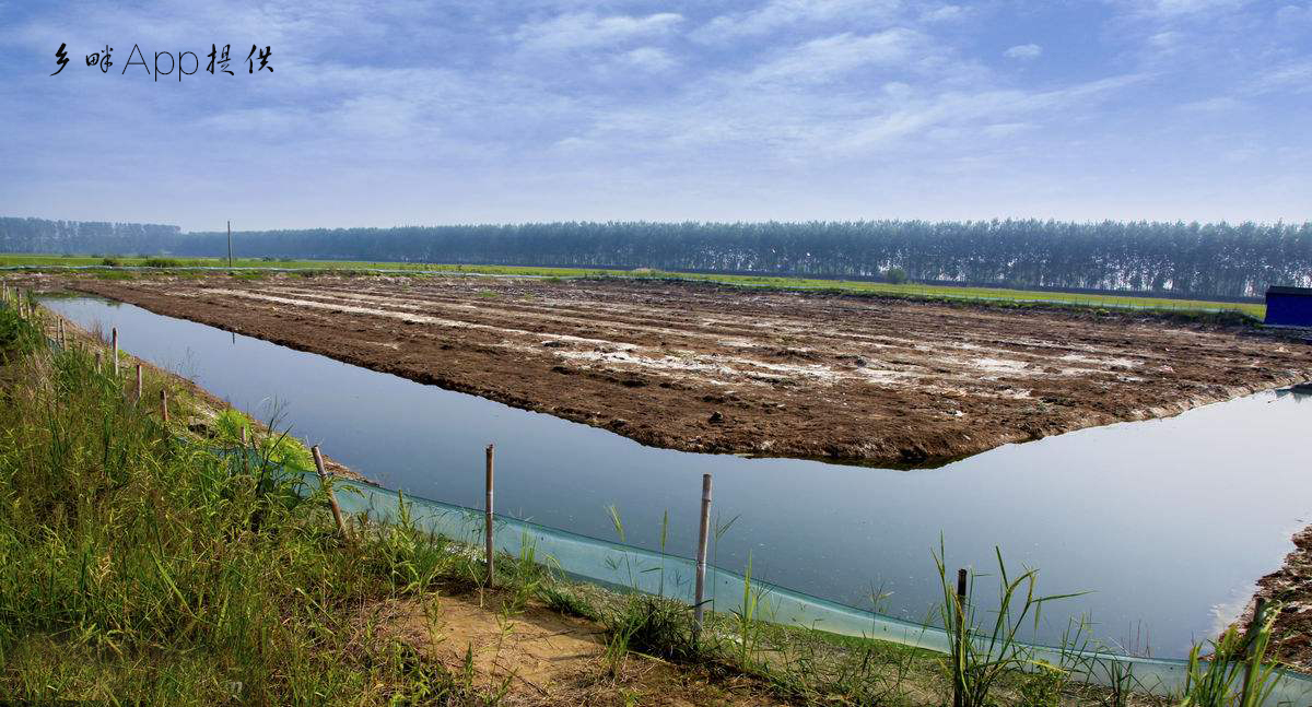 很的多人都把基本农田改造后养小龙虾,利润高