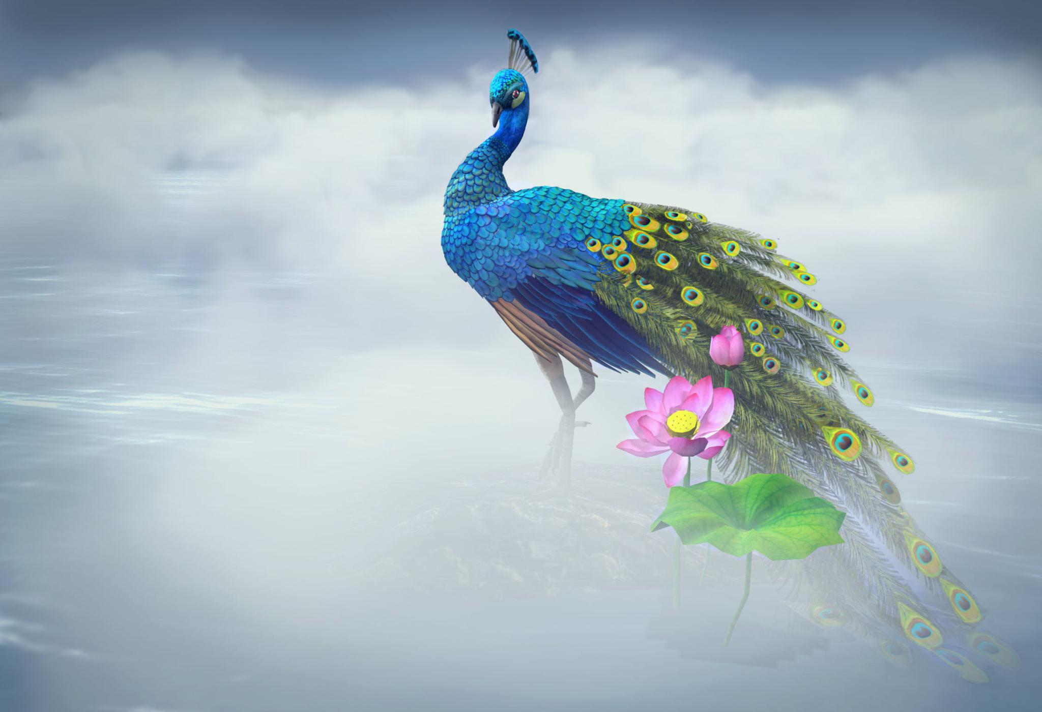 凤育九雏,你知道是哪九雏吗?其中一只死于后羿之手