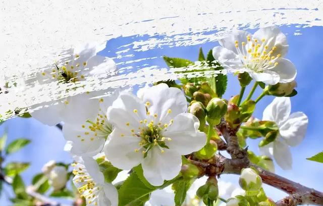 五一小长假去哪玩?北京周边最适合出游的5个