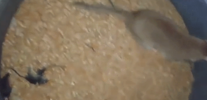 粮食缸里进了一窝老鼠,女孩吓到尖叫,猫咪的动作却让人佩服!