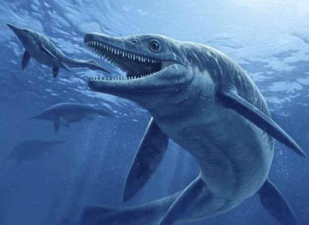 用大数据分析史前怪兽, 邓氏鱼和巨齿鲨, 谁是真正的海洋霸主?