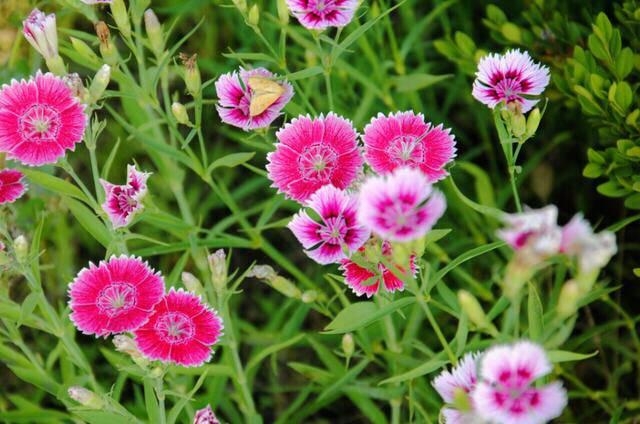 非常经典的句子:尊重,是一种平等