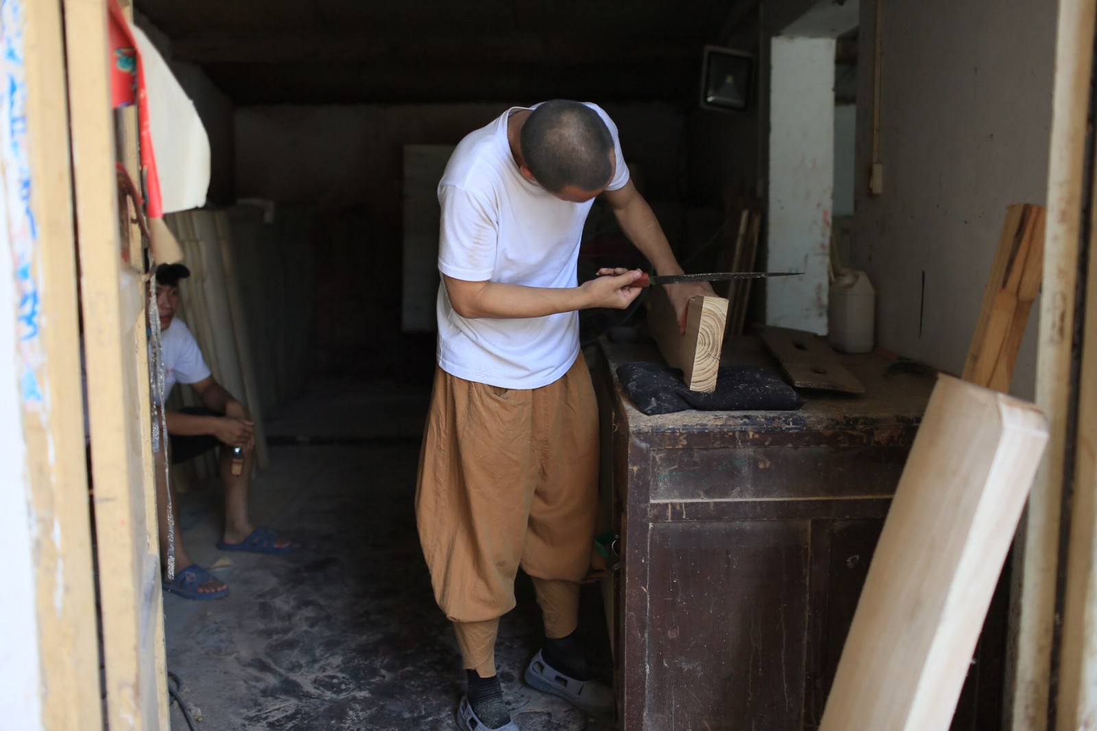 前人栽树后人乘凉!焦裕禄号召种的泡桐树如今