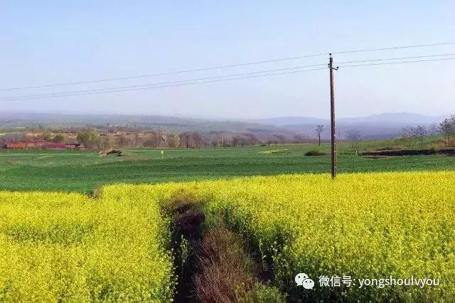 赏花地1 甘井镇岳御史村 替换高清大图 替换高清大图 替换高清大图