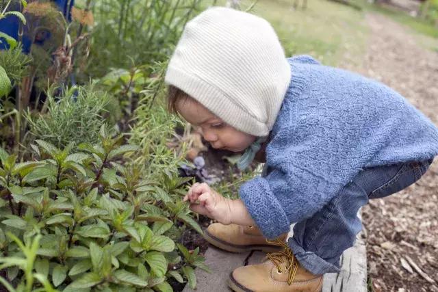 学完低声教育,宝宝第一次打人该如何正确处理