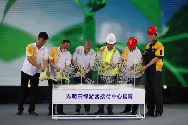 光明田缘即将迎客 足不出沪漫步万亩花海