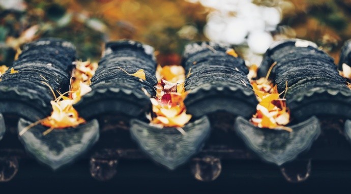 清时有味是无能,闲爱孤云静爱僧