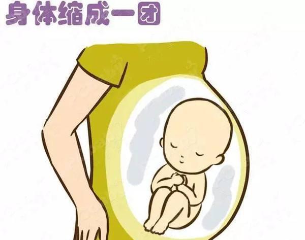胎动频繁是男孩? 三招教你通过胎动判断生男还是生女