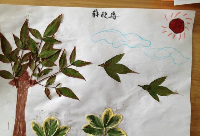 这个秋天和孩子一起捡树叶吧(趣味树叶画)