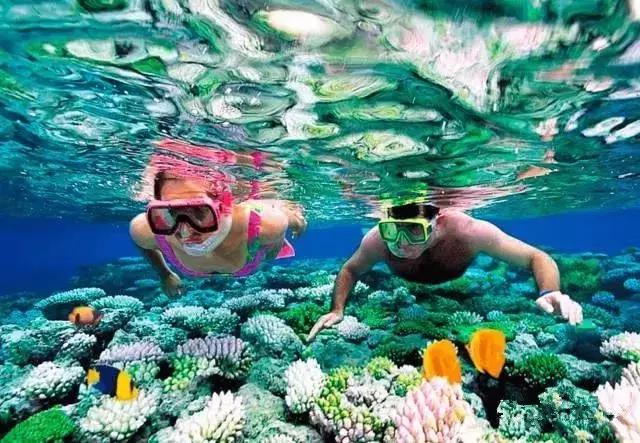 美国绿卡,免签很多国家,教育就业医疗社会福利