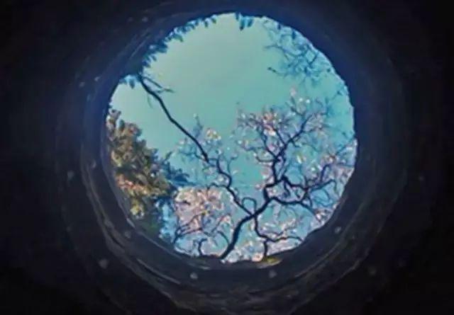 31张成人图片，你能坚持到第几张？