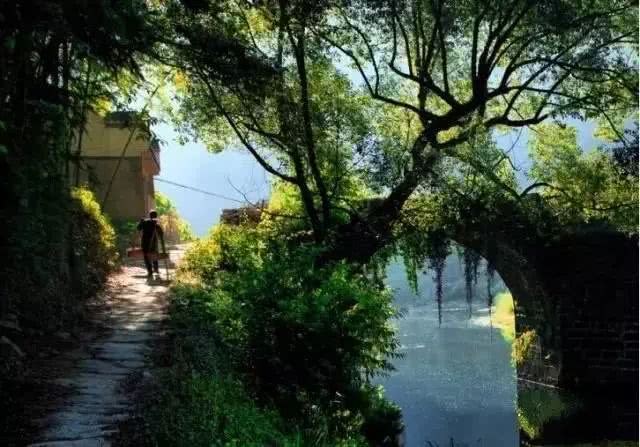 别去宏村了!南京周边这个隐世村落,宛若仙境,人