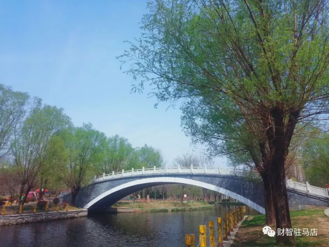 森林之美-驻马店置地森林公园