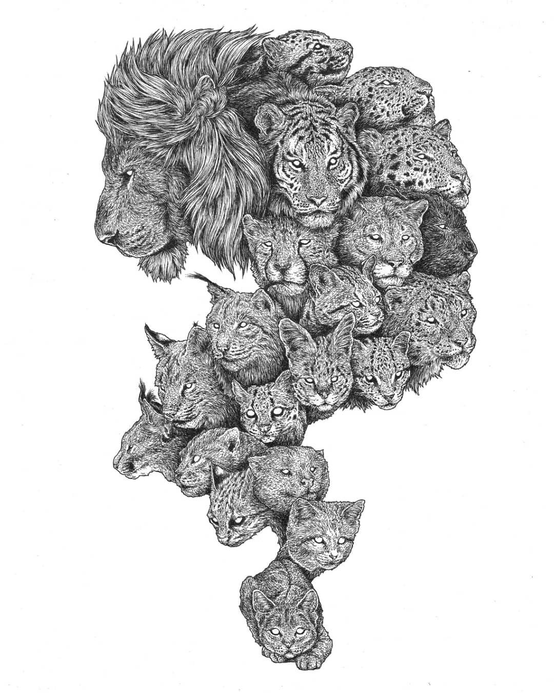 Chen Naje 动物黑白插画 随时针管笔 但是练排线真的很难 不好控