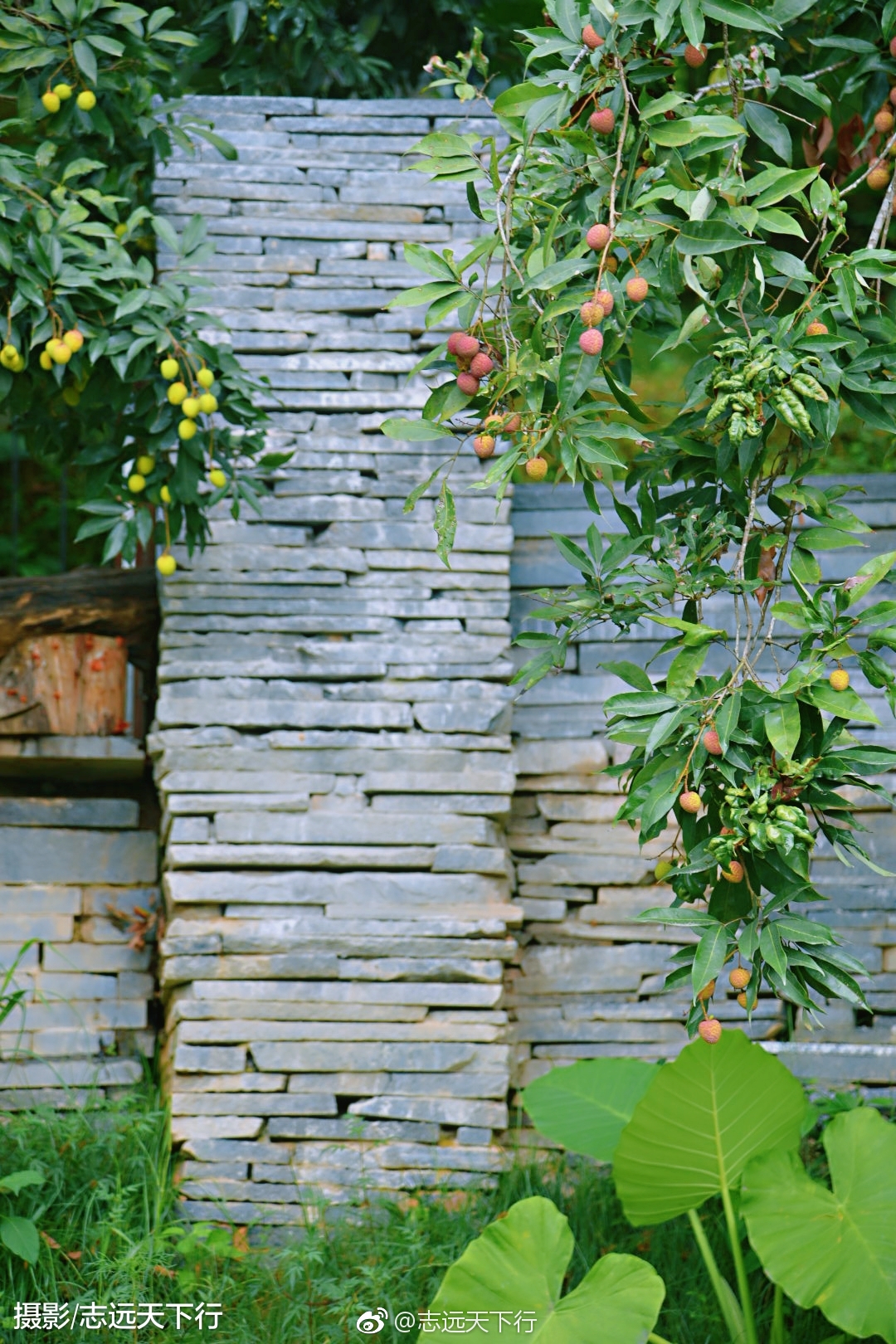 曾经仗剑走天涯去了太多地方现在只想安静的呆