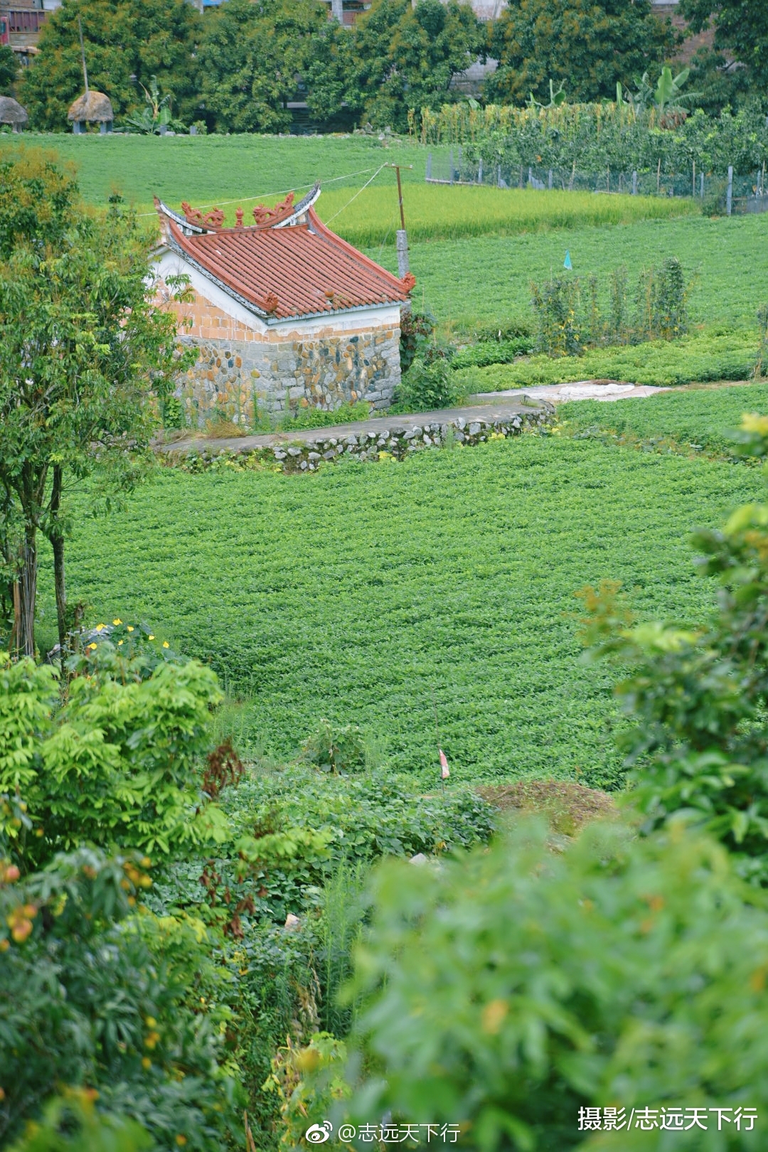 曾经仗剑走天涯去了太多地方现在只想安静的呆