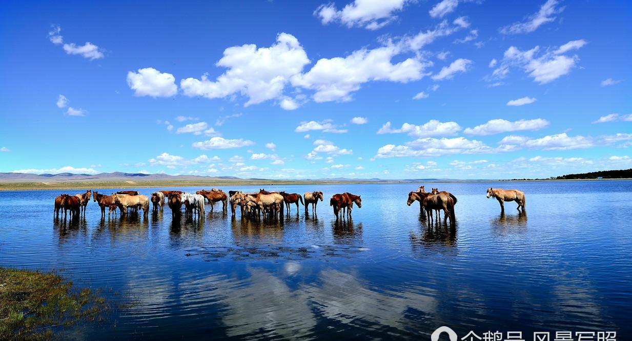 去外蒙古旅游 当地美女成灾压力大 男游客前去享受生活