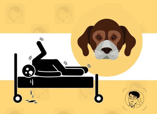 男孩被狗咬后逝世:明明打了疫苗,为何还会得了