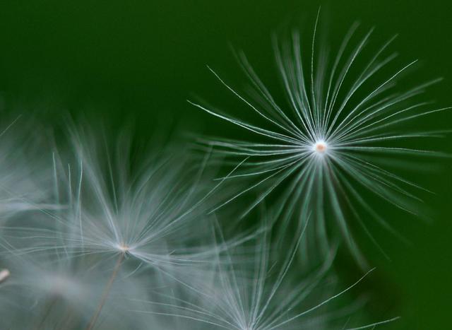 手机照相功能越来越好,还有必要买相机吗?