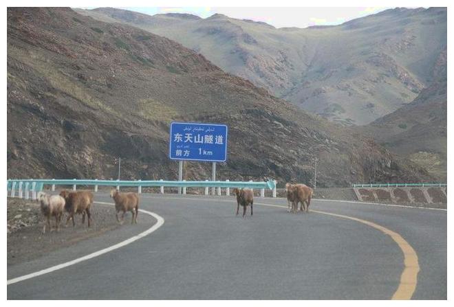 韩国人来中国旅游,到了新疆后傻了:世界上还有