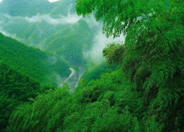 中国最宜居的小县城,没有之一,联合国人居奖唯