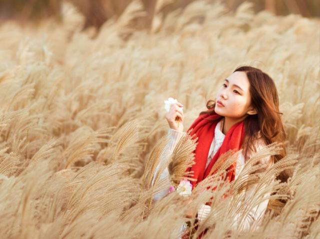 佳能70-200镜头怎么选择?F2.8还是F4?