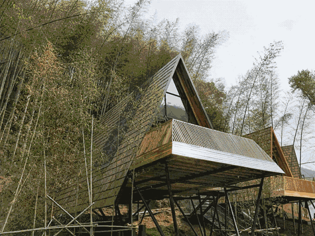 东半球最有趣的树屋民宿