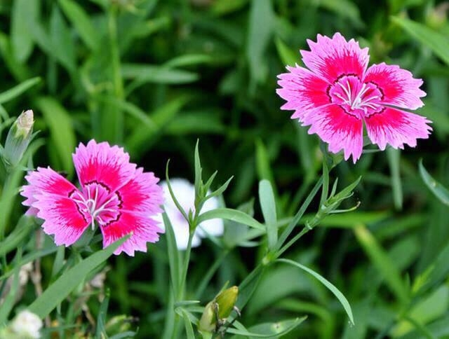 非常经典的句子:尊重,是一种平等