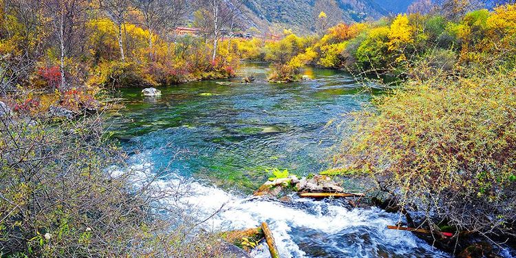 四川最美景区,四川车友最爱自驾目的地, 叠溪松坪沟