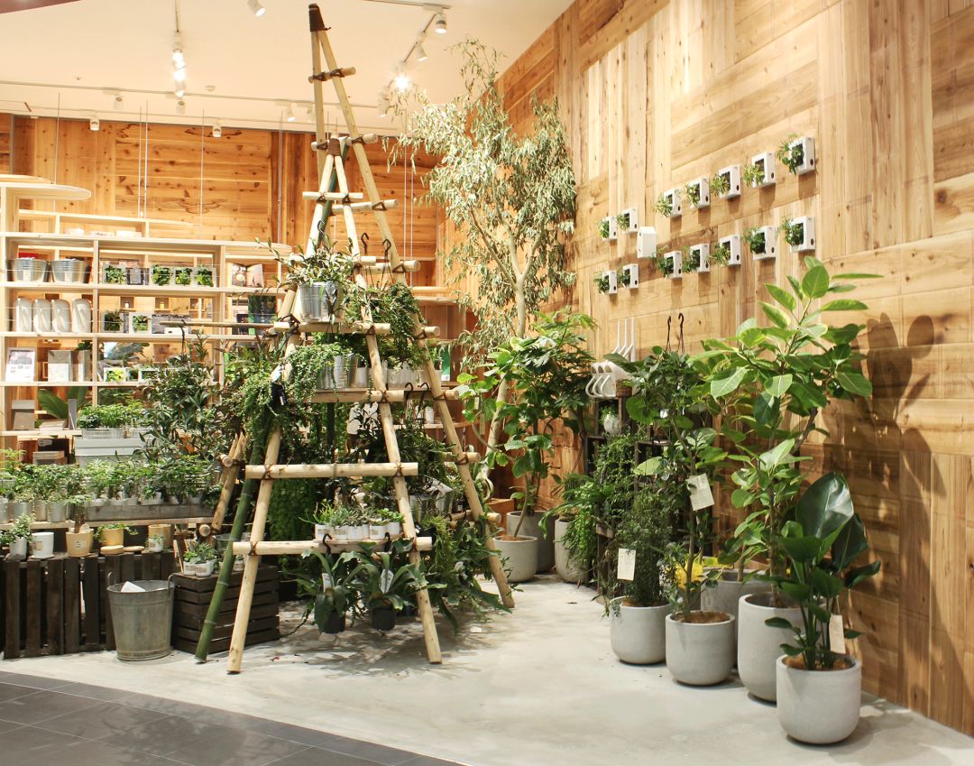 去逛了MUJI全球最大菜场,这里卖的不仅是菜,而