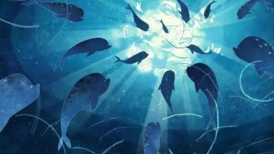 海军军演,炸死的鱼最后都去哪了?