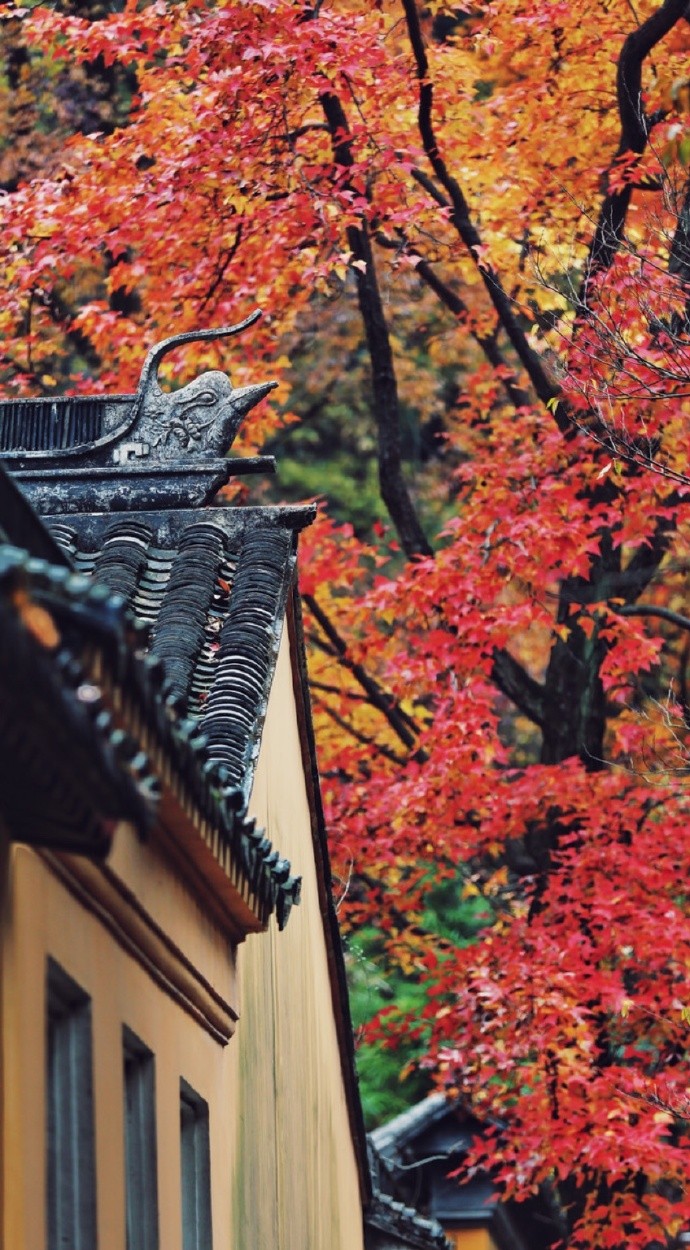 清时有味是无能,闲爱孤云静爱僧