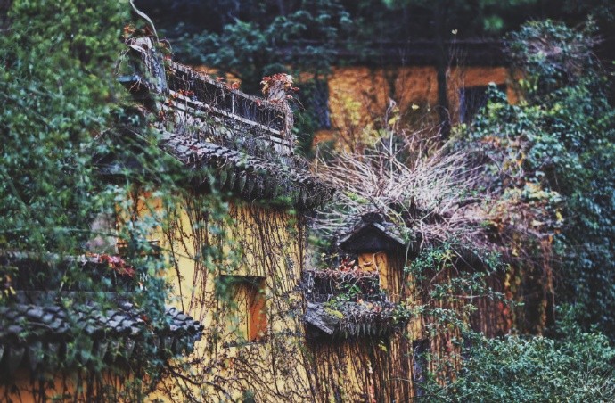 清时有味是无能,闲爱孤云静爱僧