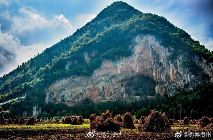 盘州大洞竹海 让心灵平静的地方[太开心]