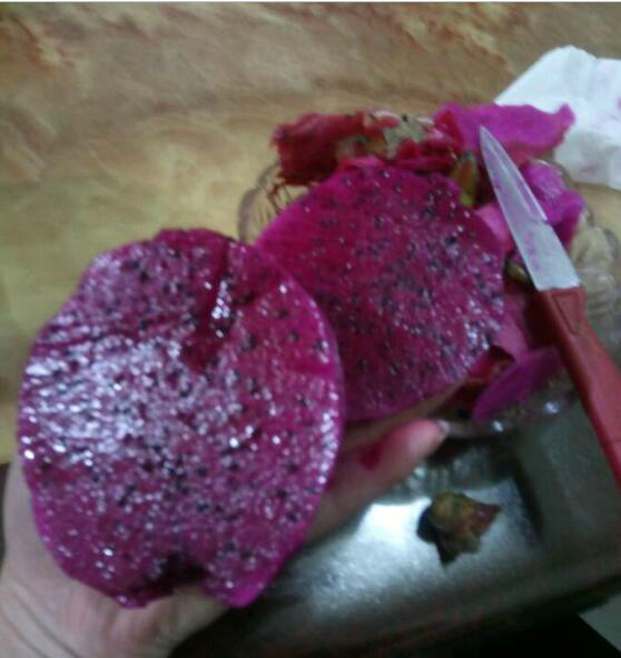 家里的红心火龙果烂,扔掉可惜,全部取出种子,这