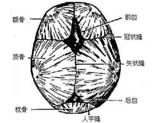 大多数年轻父母没听过卤门