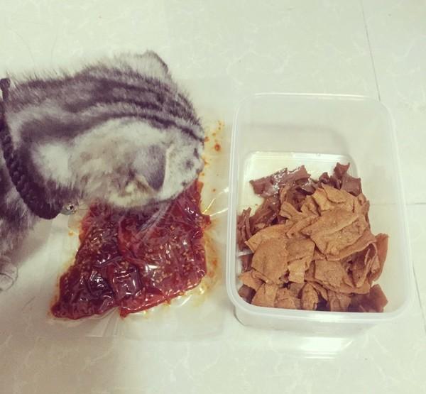 四川猫咪偷吃辣椒酱 辣到泪流满面