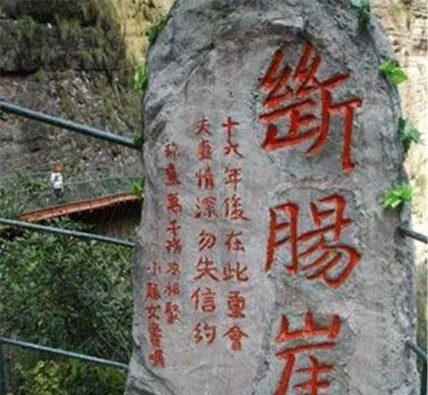 神雕侠侣16年后重生，新一代智跑能助起亚破茧成蝶吗