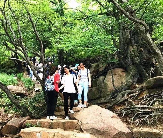 山水画廊灵秀沂山开启大学生免门票入园模式