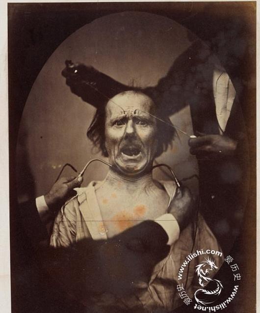 老照片: 达尔文最后实验的恐怖照片