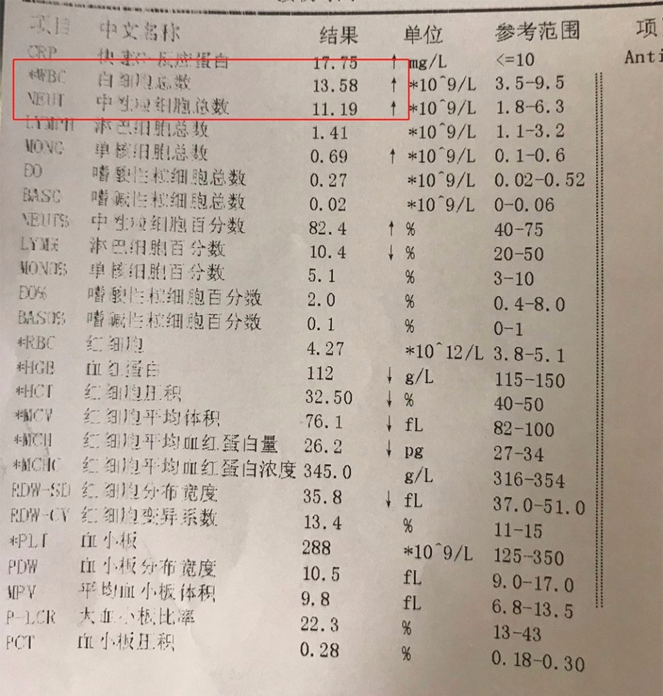 学会看孩子的血常规报告，做一个合格的家庭医生!