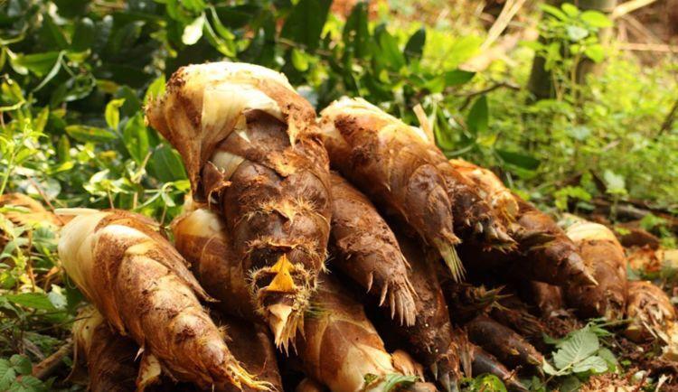 中国最宜居的小县城,没有之一,联合国人居奖唯