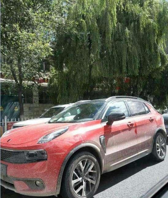 西藏首台领克01上路，外观帅的掉渣，看来离上市不远了