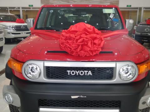 17款丰田FJ酷路泽4.0L八气双油箱版配置解析