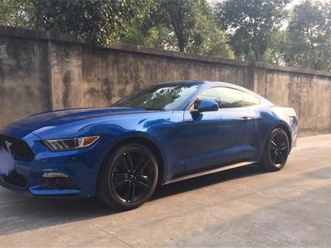 小伙为了装大款，借10万买福特野马，开了一个月后欲哭无泪！