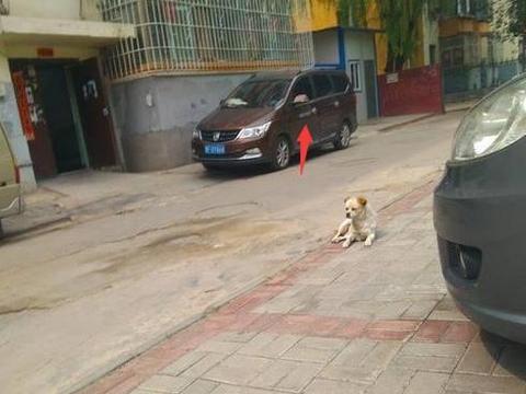 宝骏730车管所被喷漆，车主说：喷漆我同意，可隔壁奔驰咋不喷？